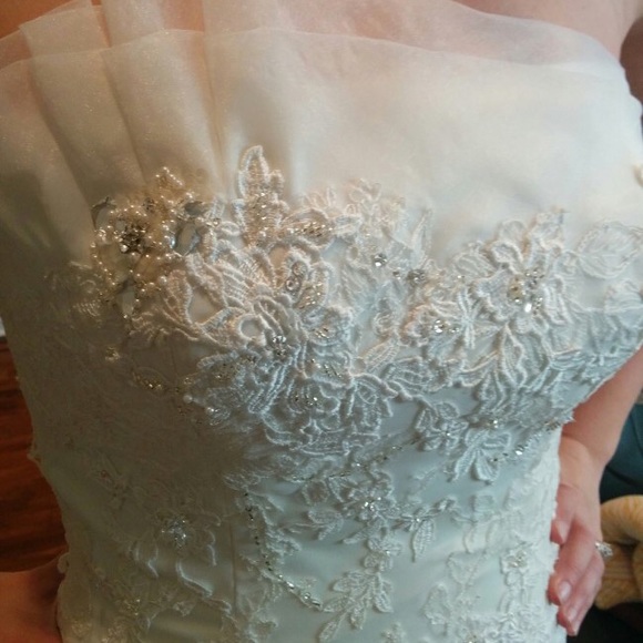 Sophia Tolli Wedding Gown - Picture 2 of 5